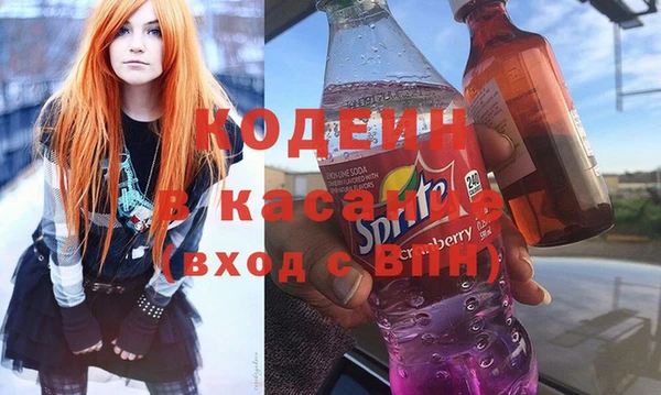 гашик Алексин