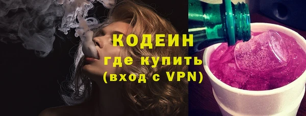гашик Алексин