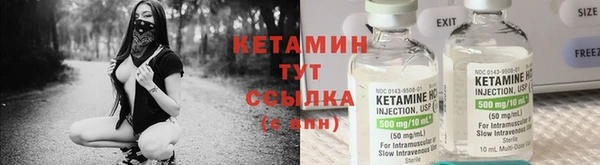 гашик Алексин