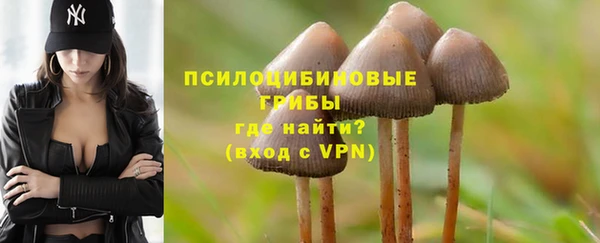 бошки Рославль