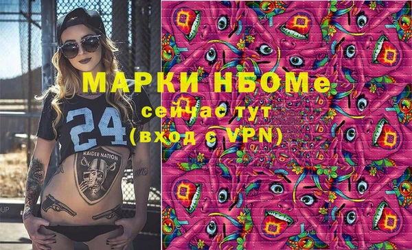 гашик Алексин