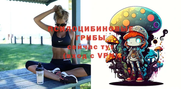a pvp Алзамай