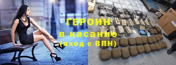 гашик Алексин